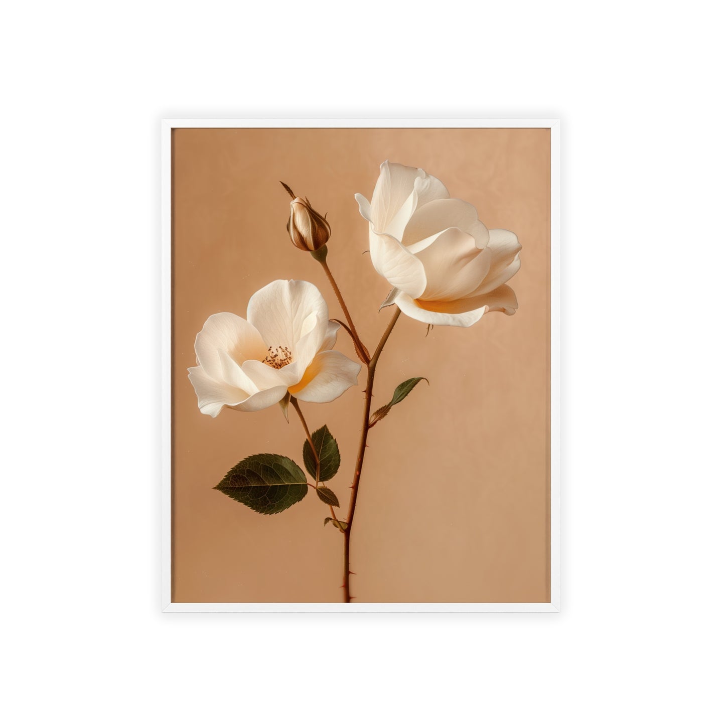 "Vintage Roses framed wall art - Flower Parade Collection"