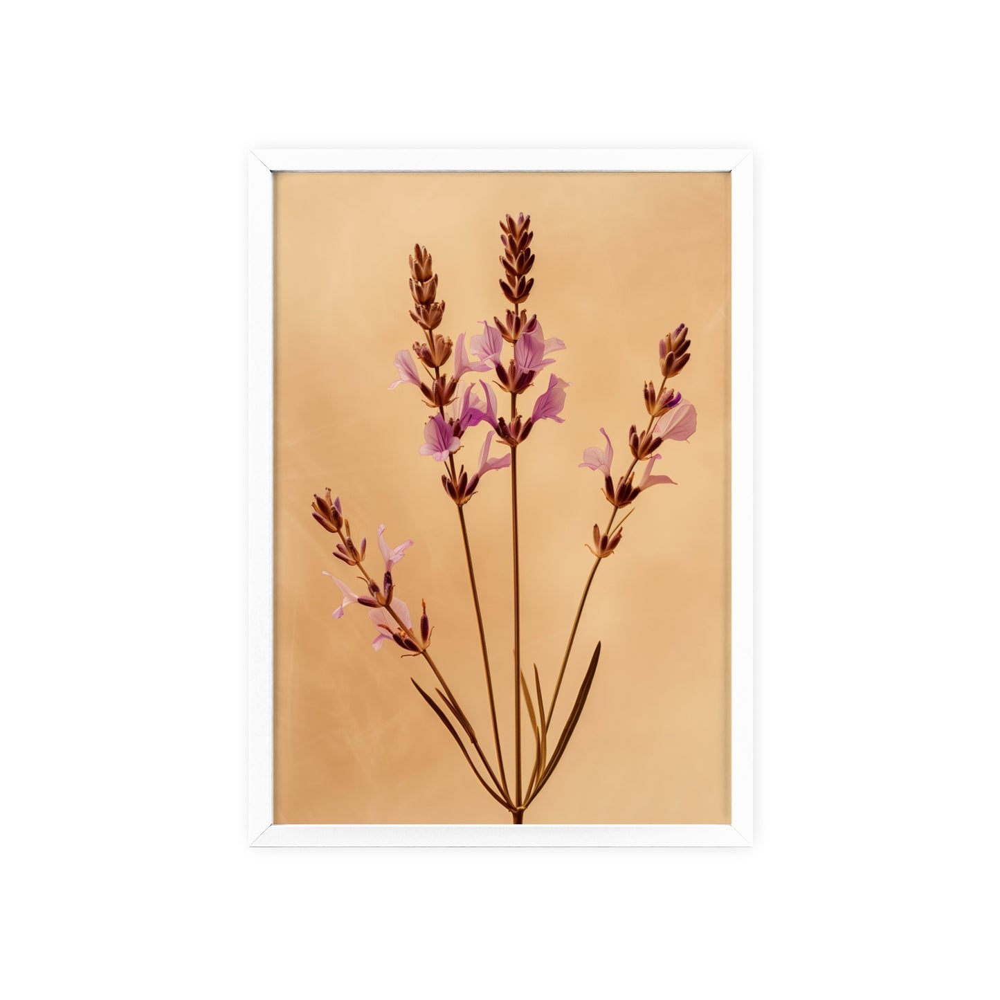 Vintage Lavender framed wall art - Flower Parade Collection