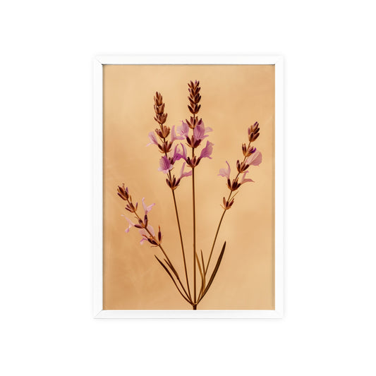 Vintage Lavender framed wall art - Flower Parade Collection