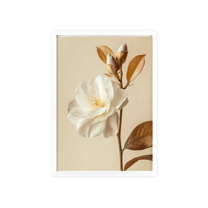 Vintage White Camelia