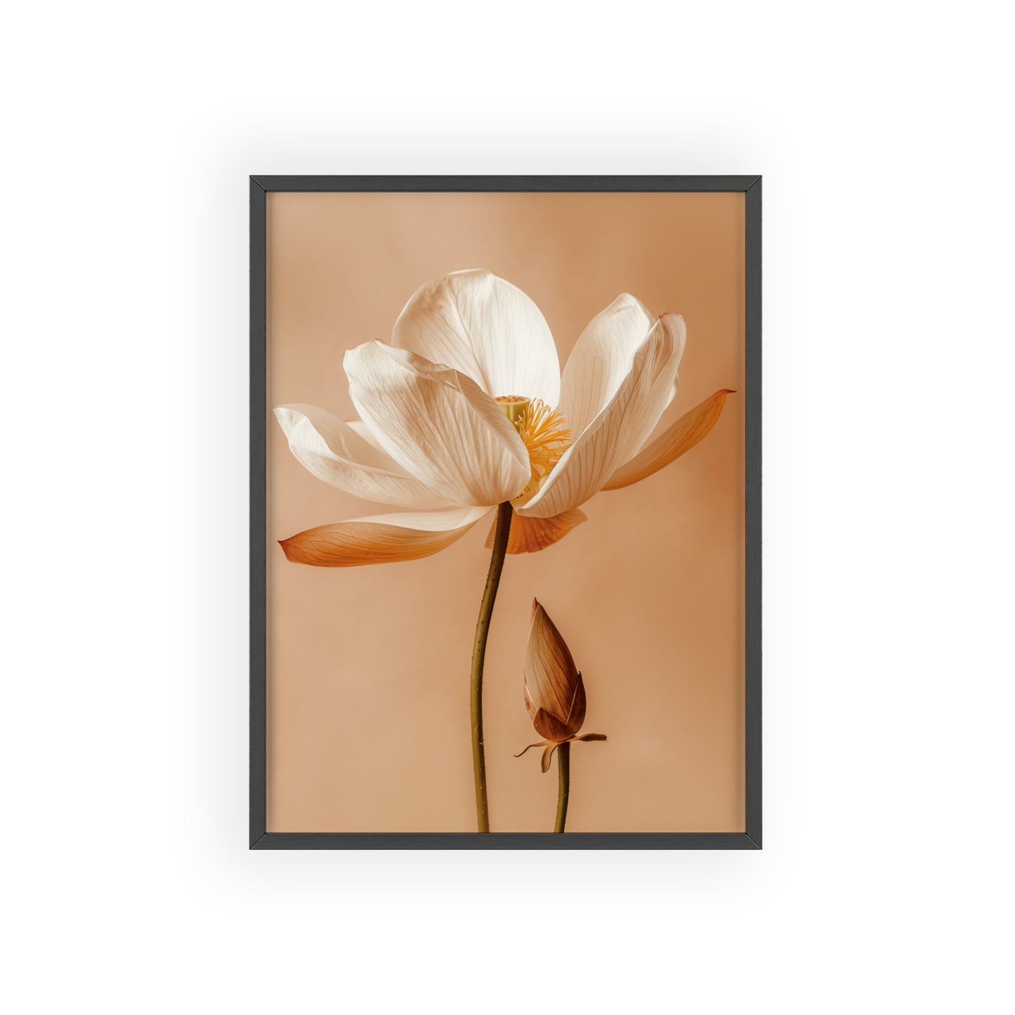 Vintage-style framed poster showcasing serene lotus blooms in soft, calming hues