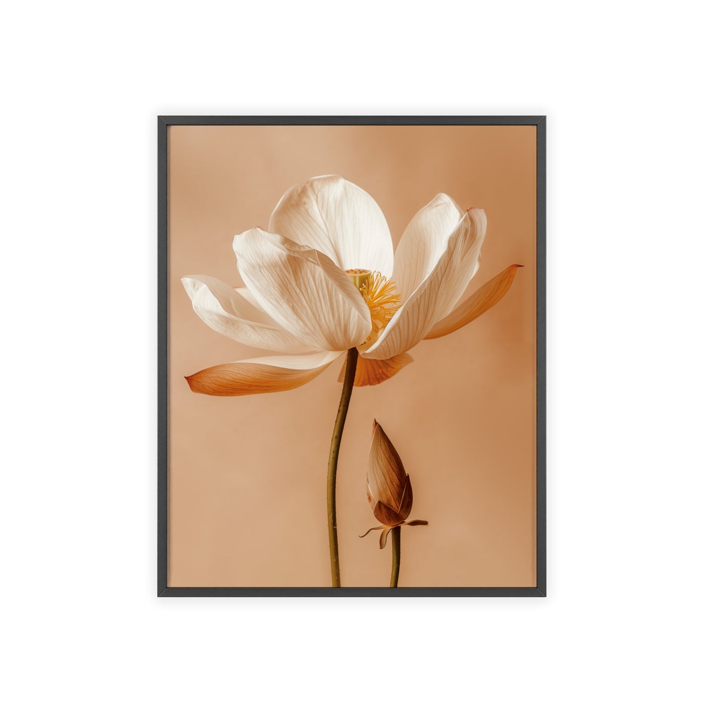 Vintage-style framed poster showcasing serene lotus blooms in soft, calming hues