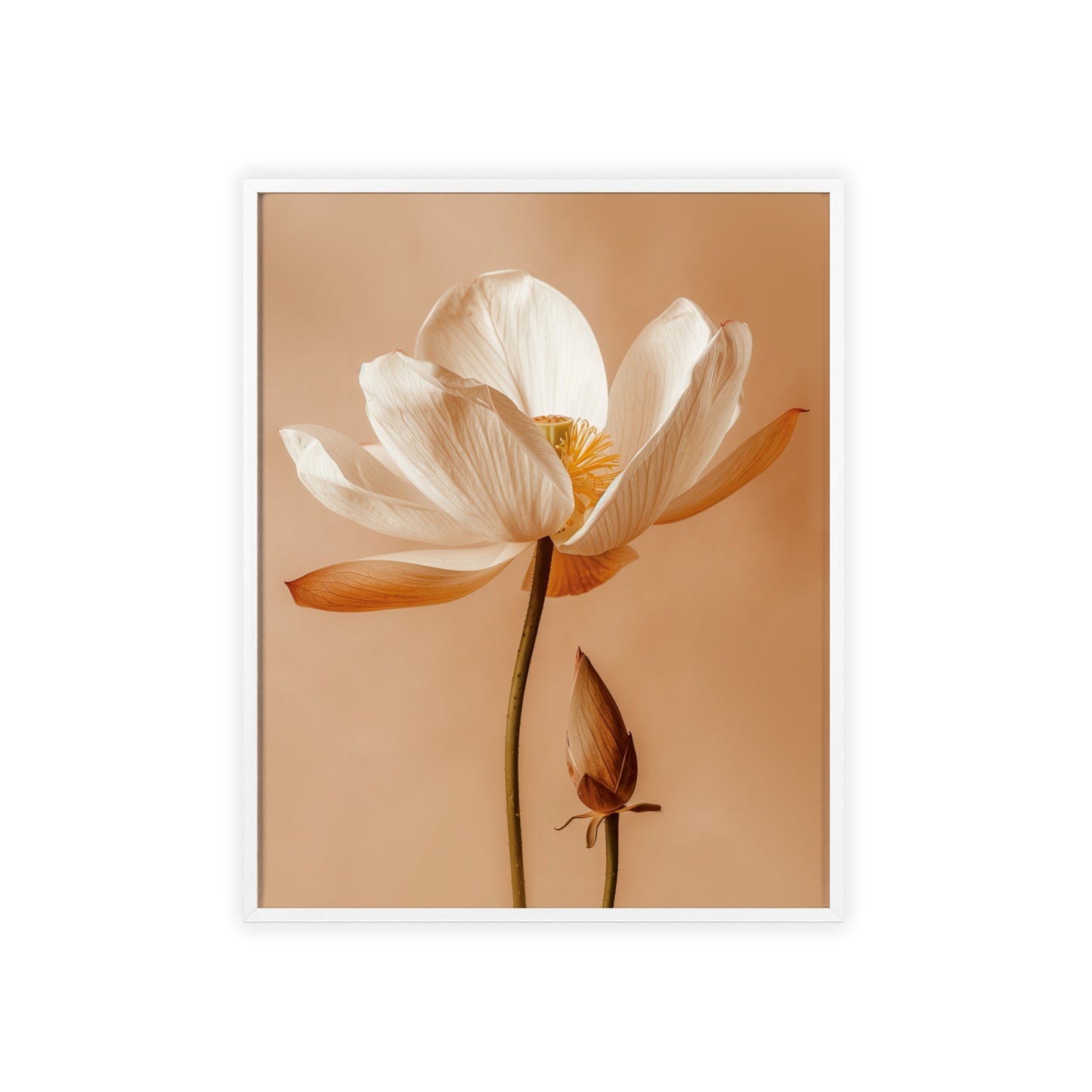 Vintage-style framed poster showcasing serene lotus blooms in soft, calming hues