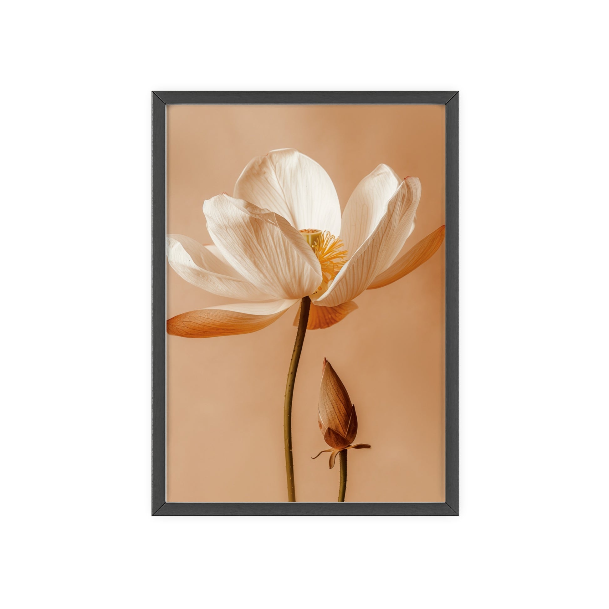 Vintage-style framed poster showcasing serene lotus blooms in soft, calming hues