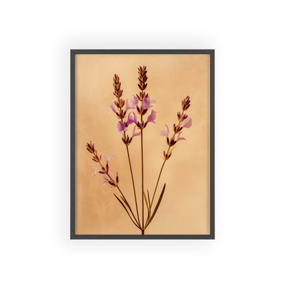 Vintage Lavender framed wall art - Flower Parade Collection