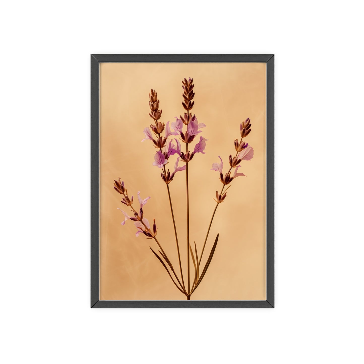 Vintage Lavender framed wall art - Flower Parade Collection