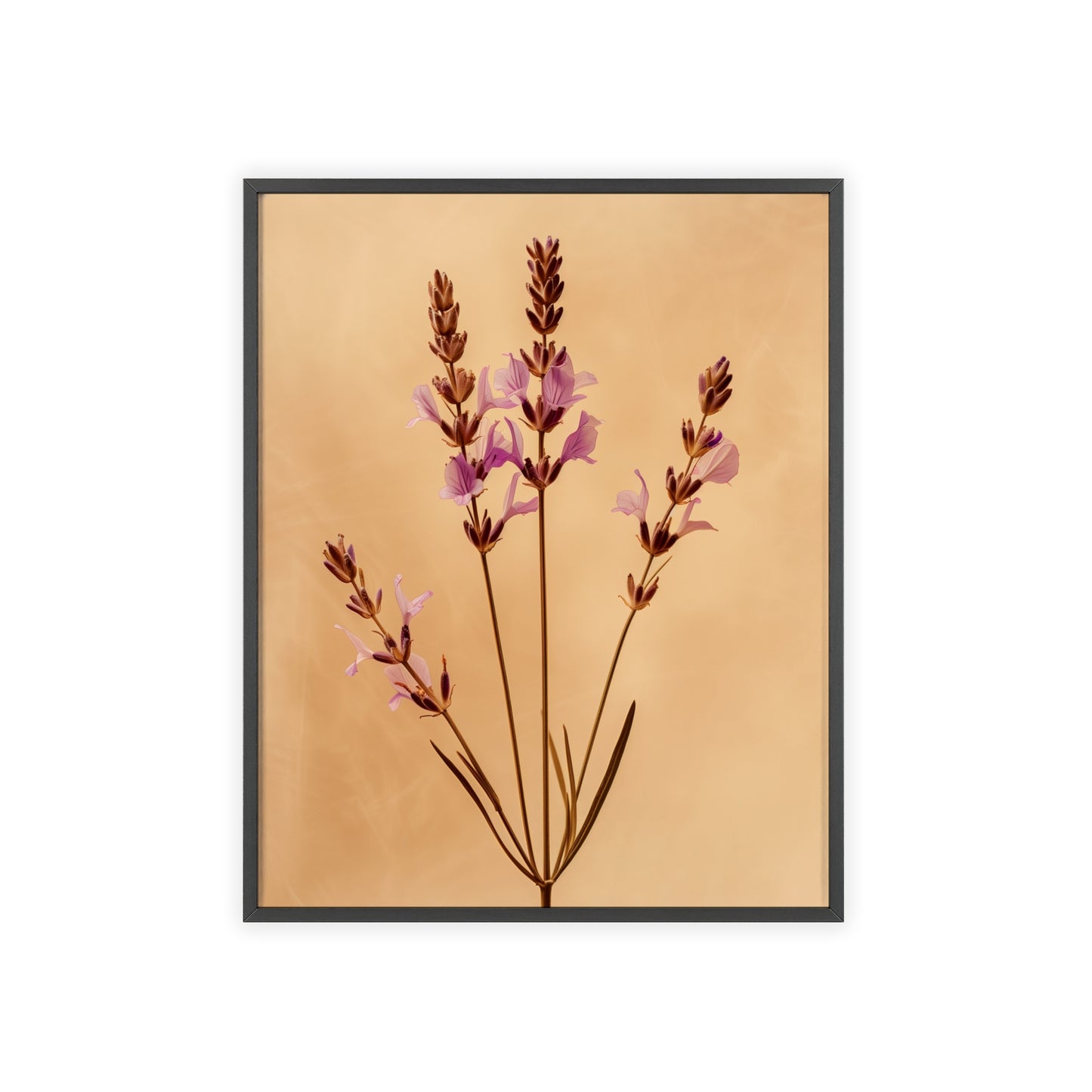 Vintage Lavender framed wall art - Flower Parade Collection