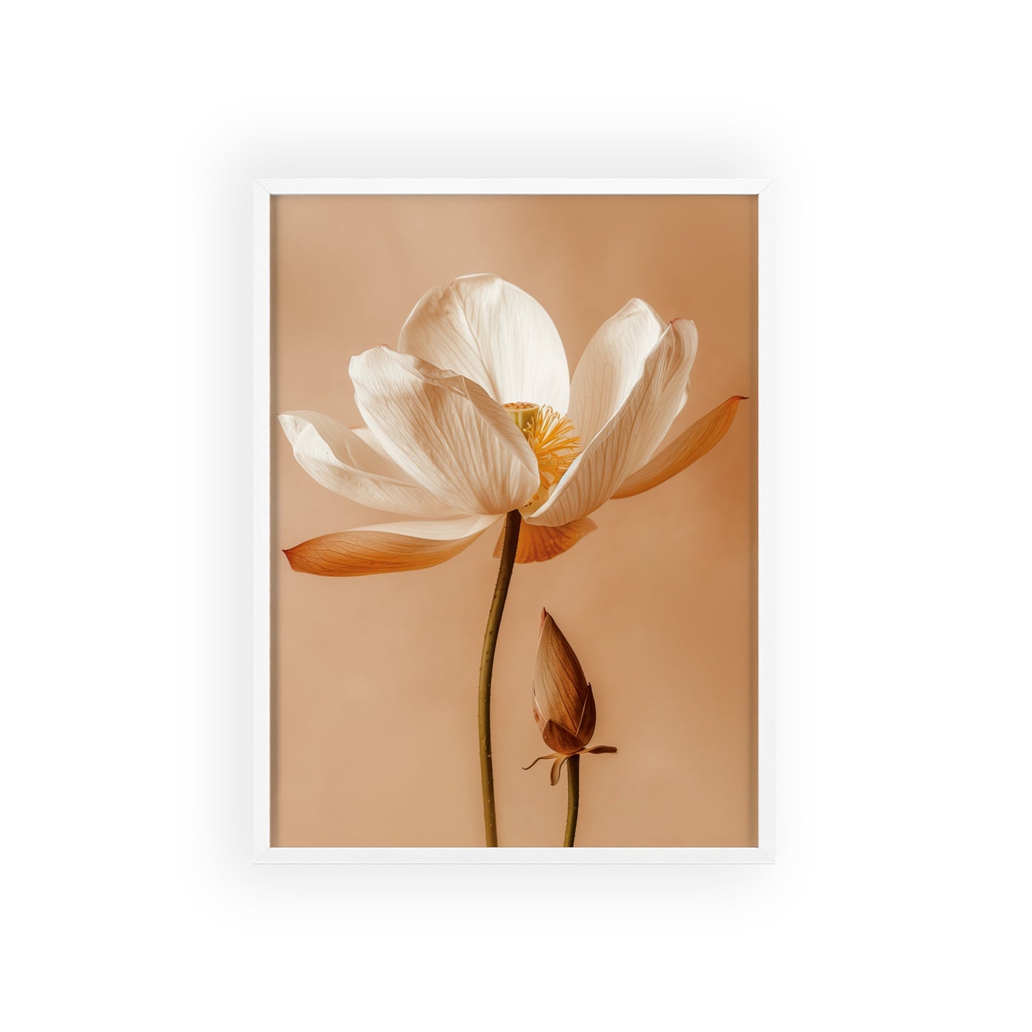 Vintage-style framed poster showcasing serene lotus blooms in soft, calming hues